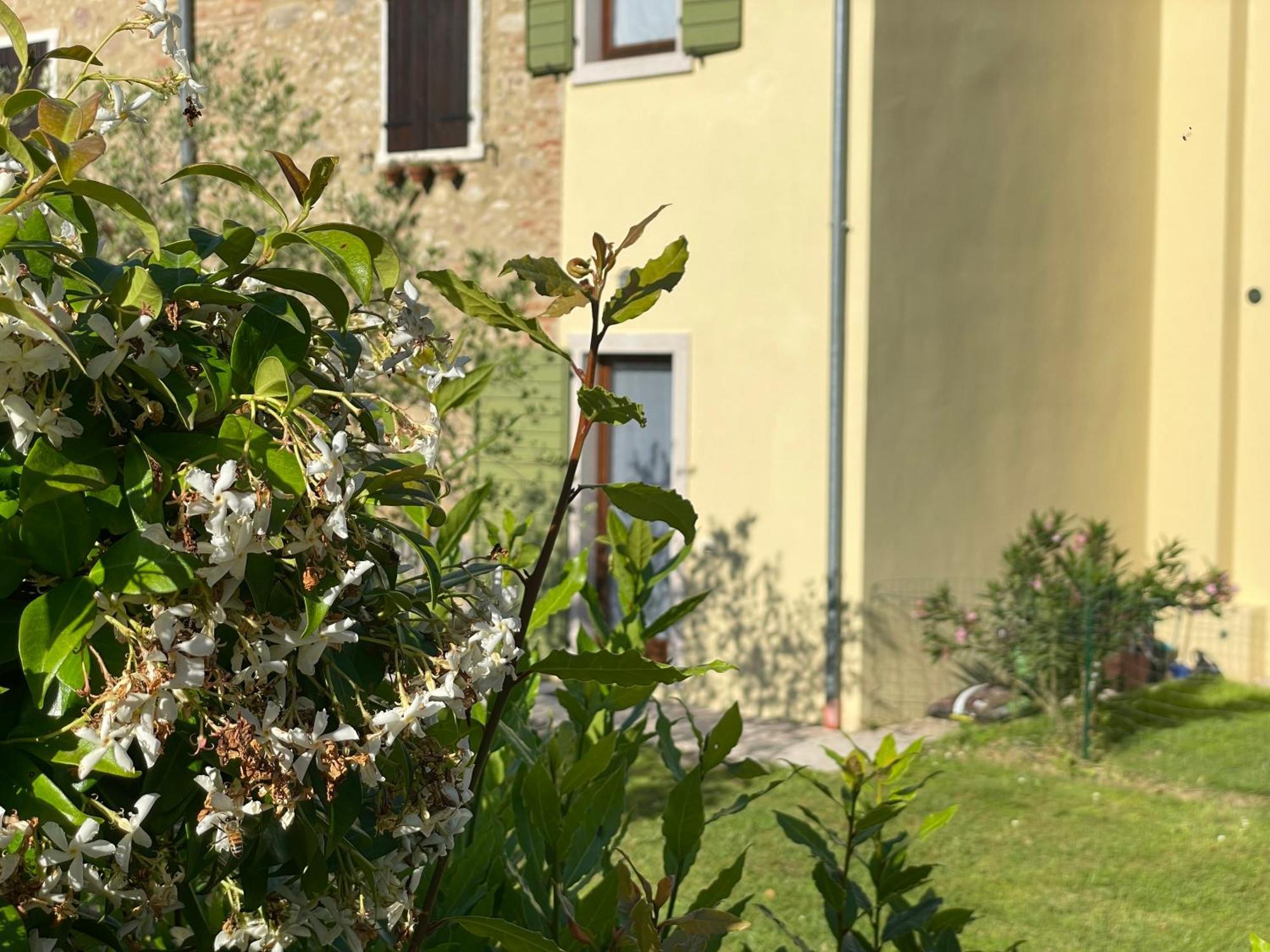 Casa Carlotte - Lago Di Garda Lazise Kültér fotó