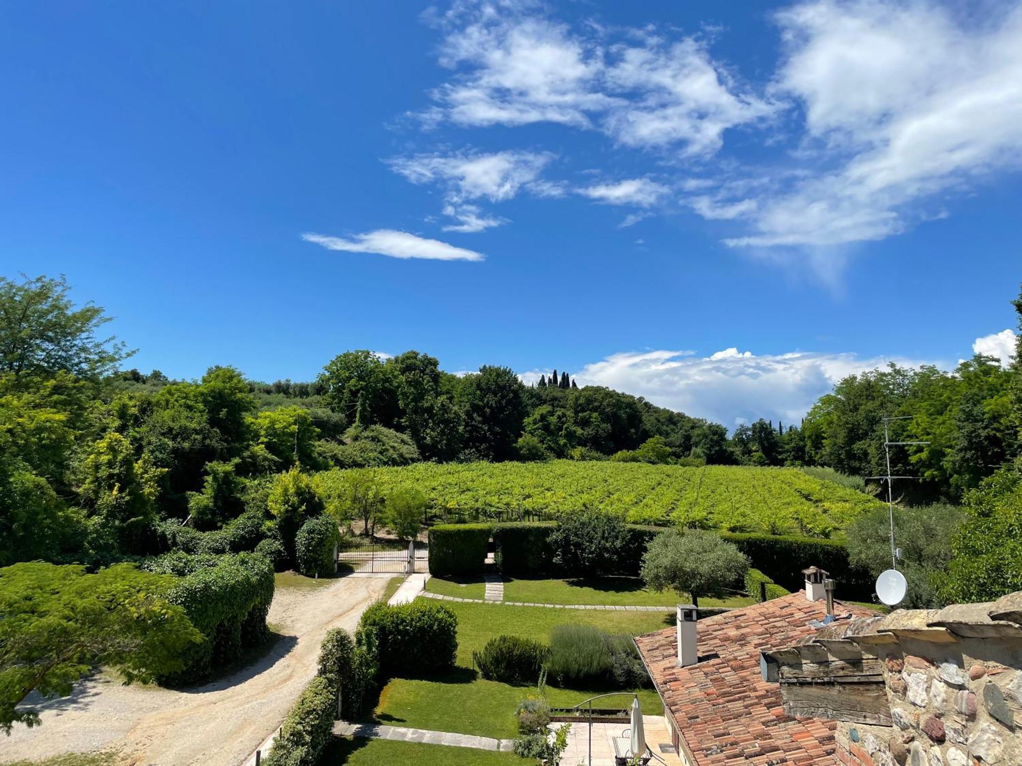 Casa Carlotte - Lago Di Garda Lazise Kültér fotó